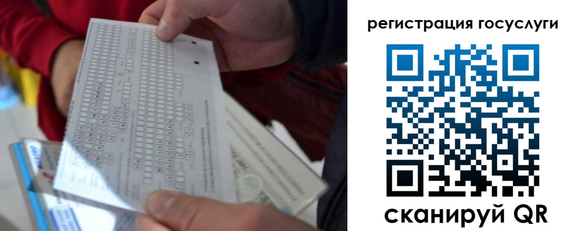 прописка гарантия в Борзе